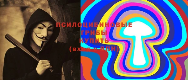 стаф Абаза