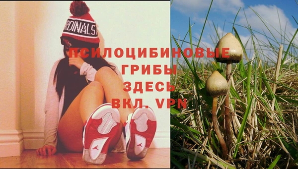 индика Абинск
