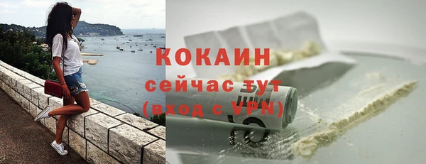 стаф Абаза