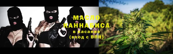 индика Абинск