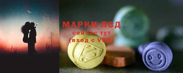 индика Абинск