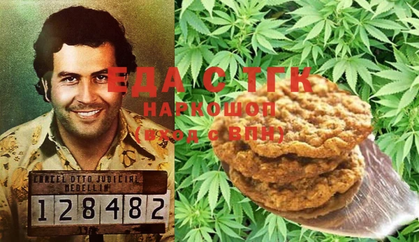индика Абинск