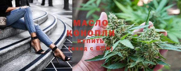 индика Абинск