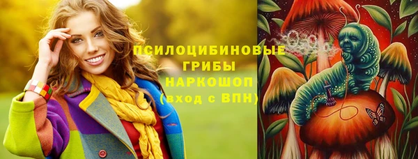 стаф Абаза