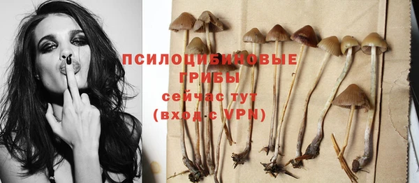 индика Абинск