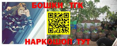шишки Гагарин