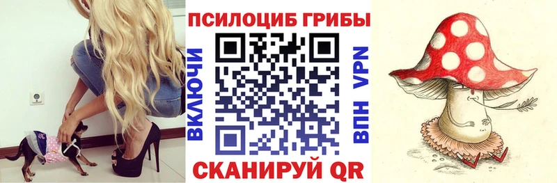 Галлюциногенные грибы прущие грибы  Норильск 