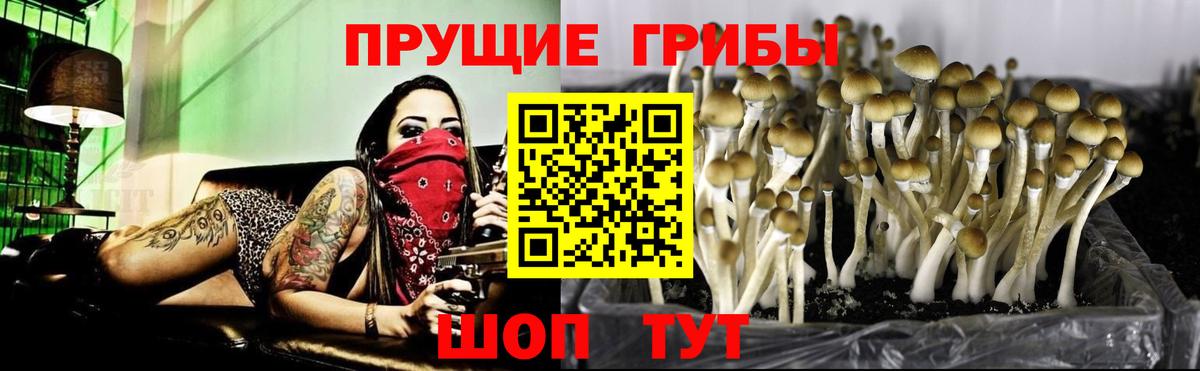 цены   Галлюциногенные грибы MAGIC MUSHROOMS  Вход с VPN  Норильск 